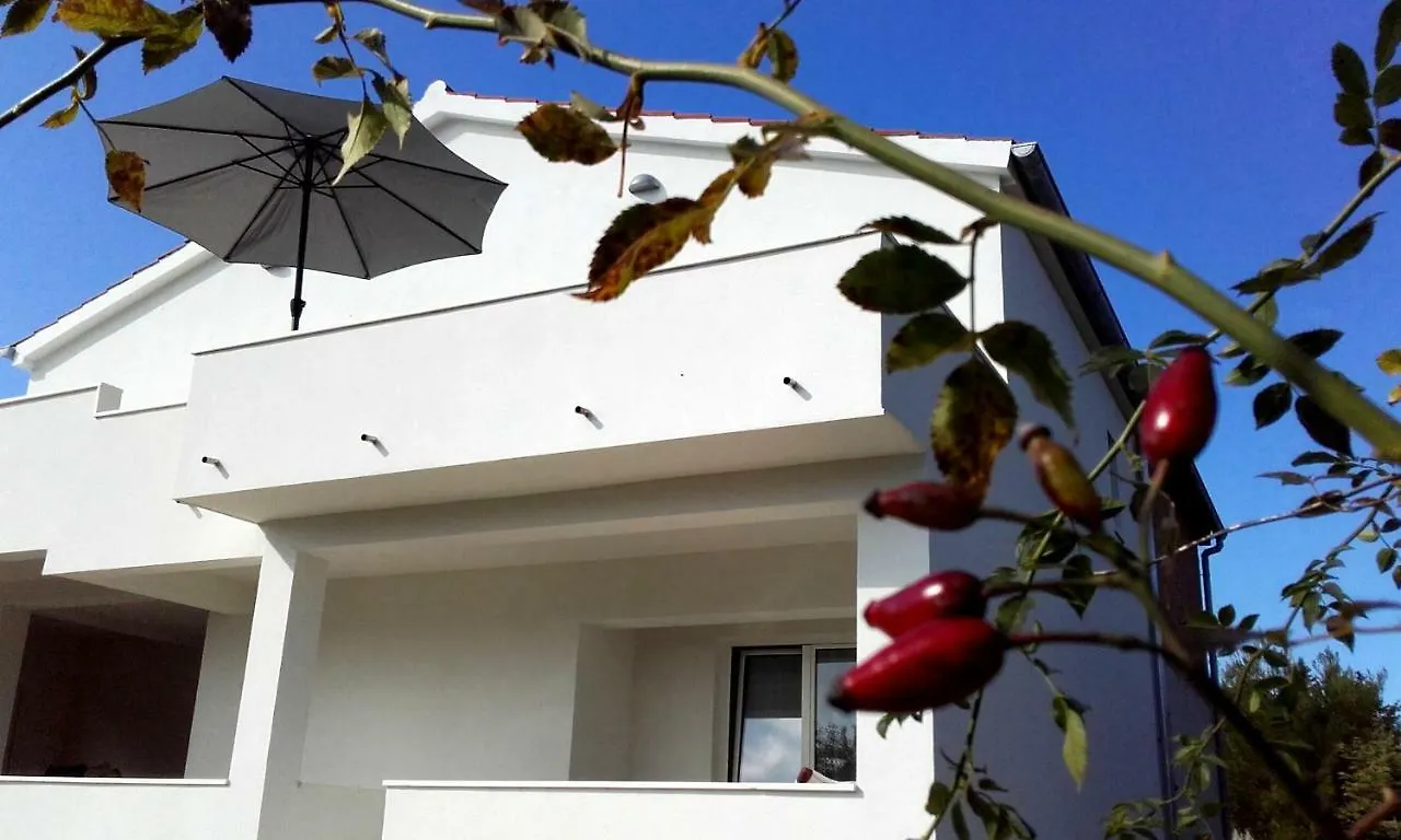 Apartments House Of Art Nin